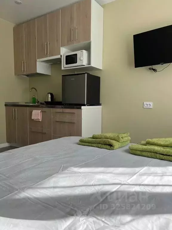 Студия Московская область, Егорьевск Огородная ул., 10 (18.0 м) - Фото 2