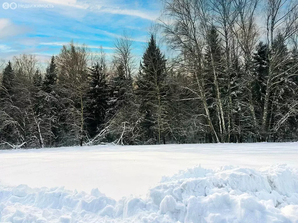 Участок в Московская область, городской округ Подольск, КП Пузиково, ... - Фото 2