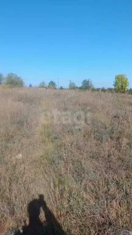 Участок в Оренбургская область, Оренбургский район, ... - Фото 1