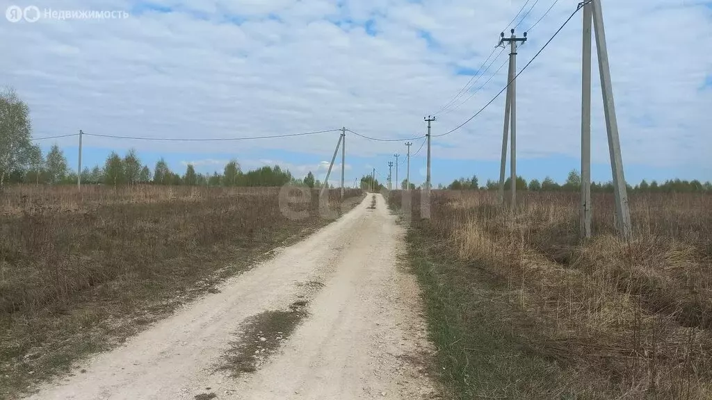 Участок в Киреевский район, сельское поселение Шварцевское, село ... - Фото 1