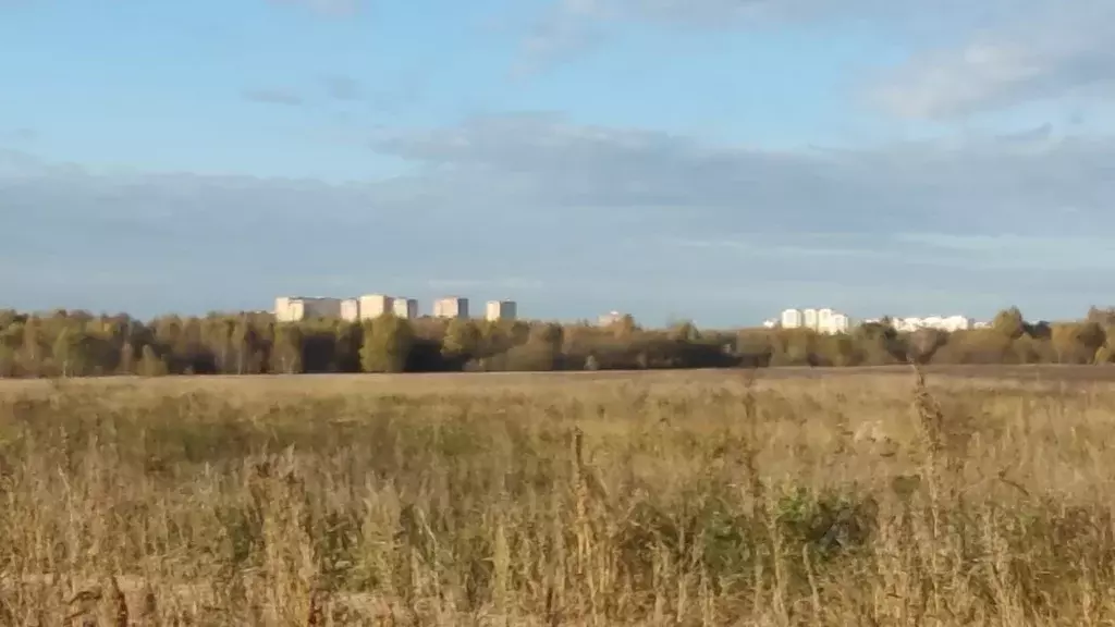 Участок в Московская область, Раменский городской округ, д. Заболотье ... - Фото 1