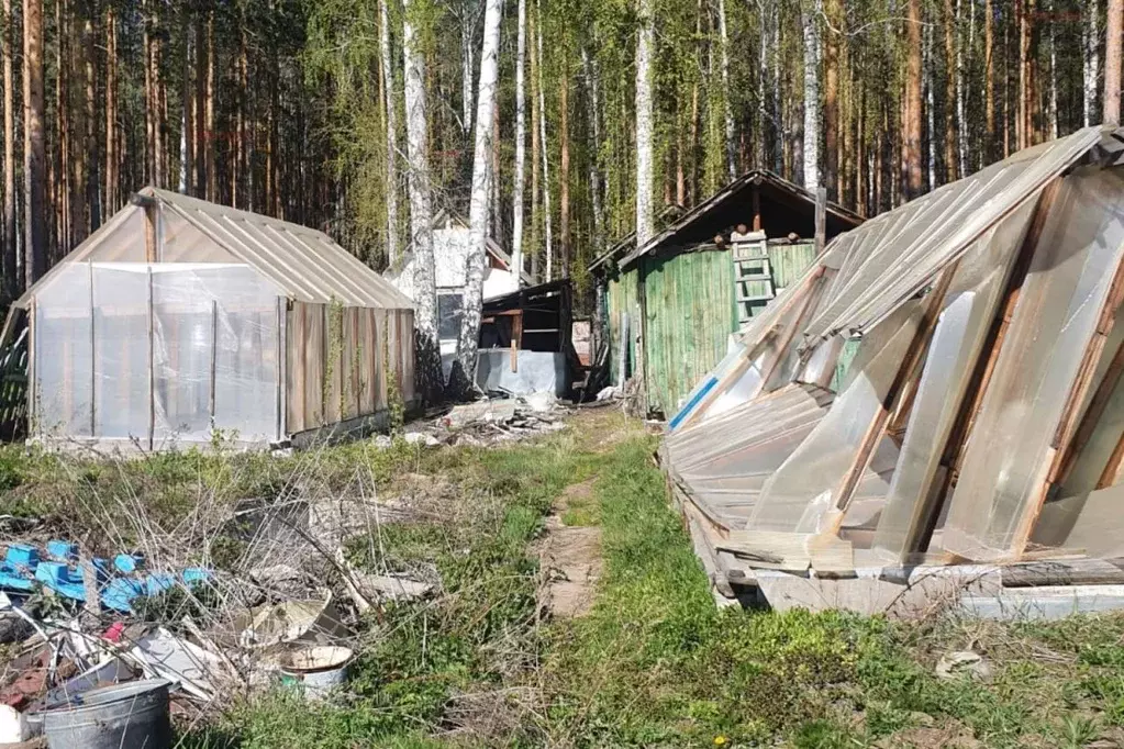 Участок в Свердловская область, Екатеринбург Жилищник-1 СНТ,  (8.0 ... - Фото 2