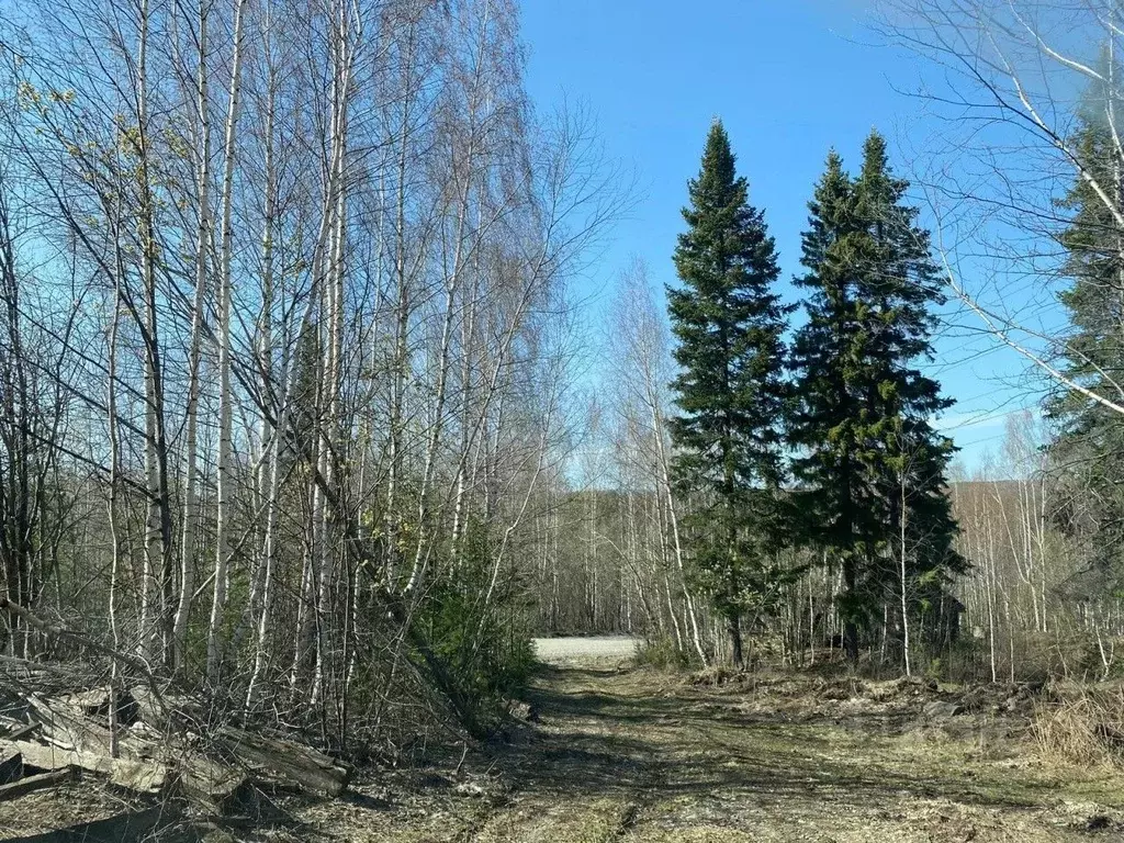 Участок в Свердловская область, Первоуральск Сосновая ул. (7.0 сот.) - Фото 1