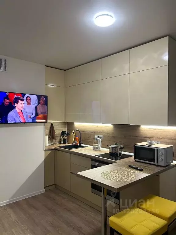 Студия Московская область, Люберцы городской округ, Мирный пгт ул. ... - Фото 1