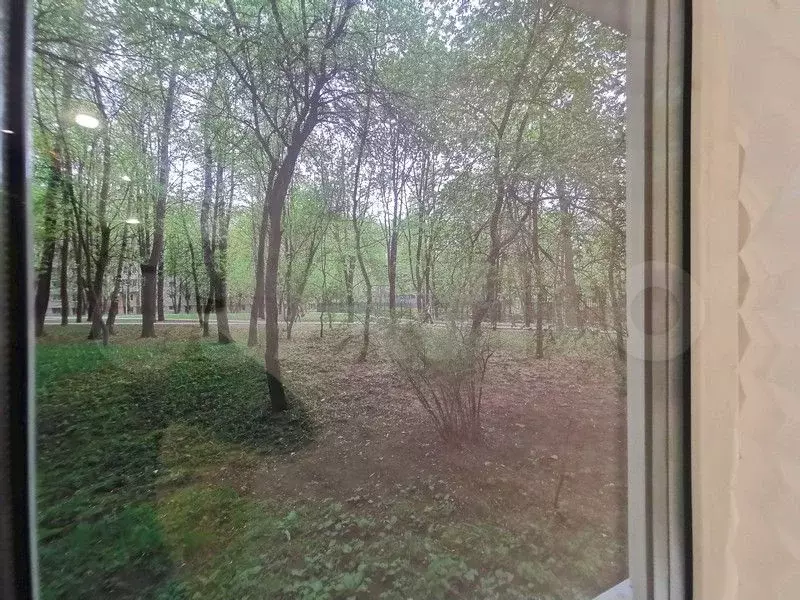 Квартира-студия, 19,2 м, 1/9 эт. - Фото 1