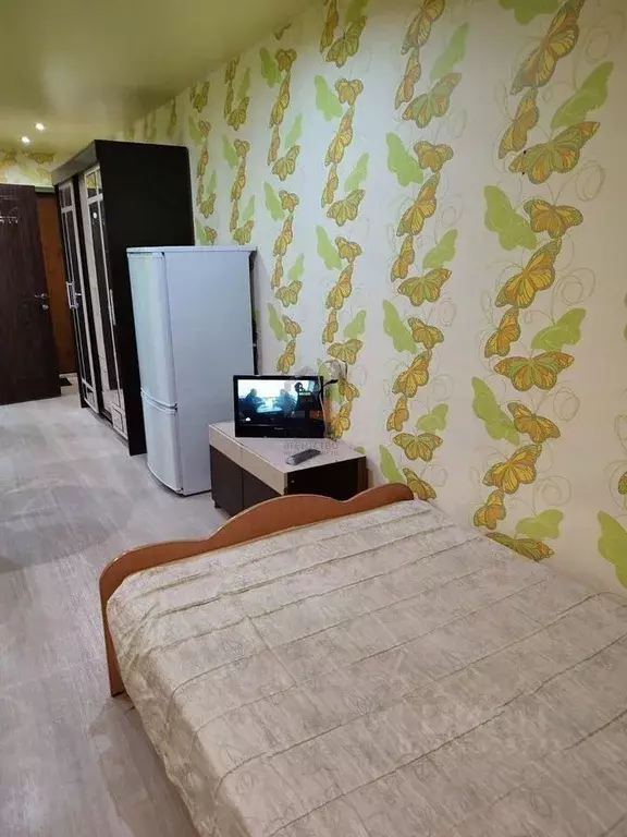 Студия Кировская область, Киров Московская ул., 121 (34.0 м) - Фото 1