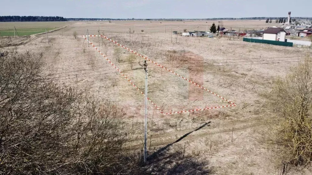 Участок в Ленинградская область, Волосовский район, д. Клопицы  (22.0 ... - Фото 1