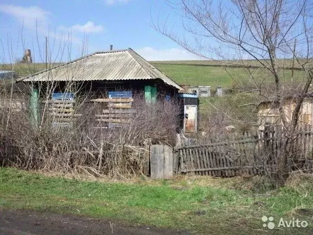 Дом в Алтайский край, Алтайский район, с. Макарьевка Центральная ул. ... - Фото 1