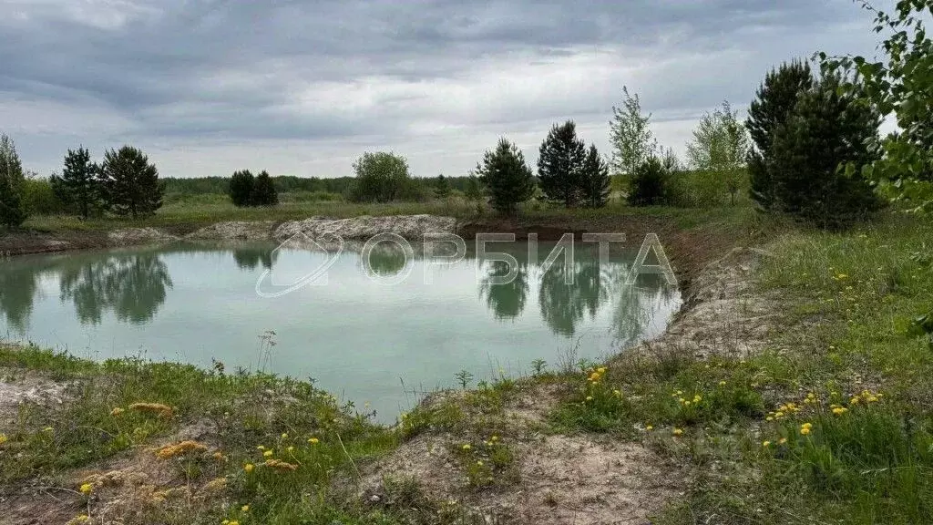 Участок в Тюменская область, Тюменский район, Онегин кп  (15.0 сот.) - Фото 1