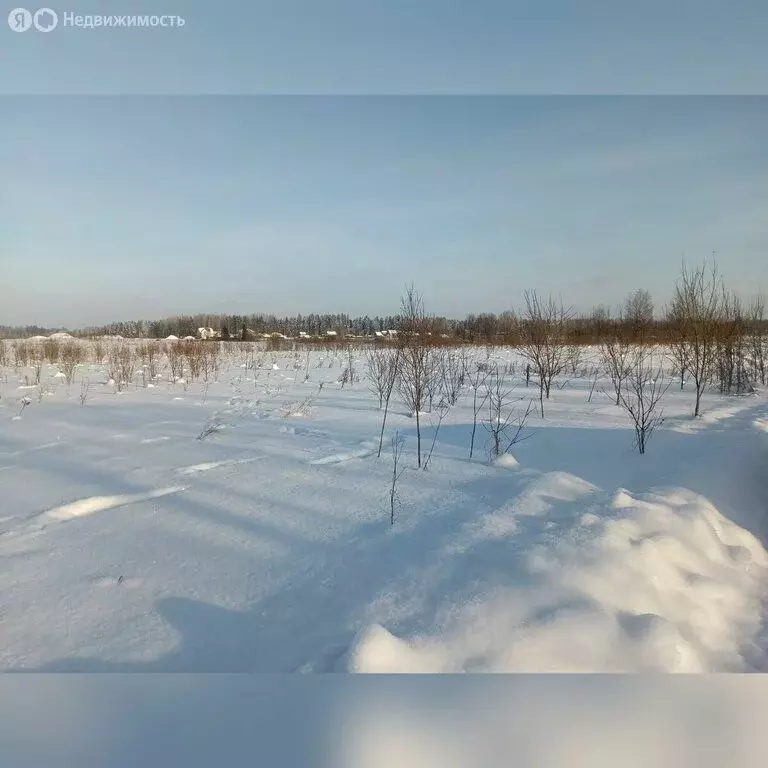 Участок в Лужский район, Мшинское сельское поселение, посёлок Красный ... - Фото 2