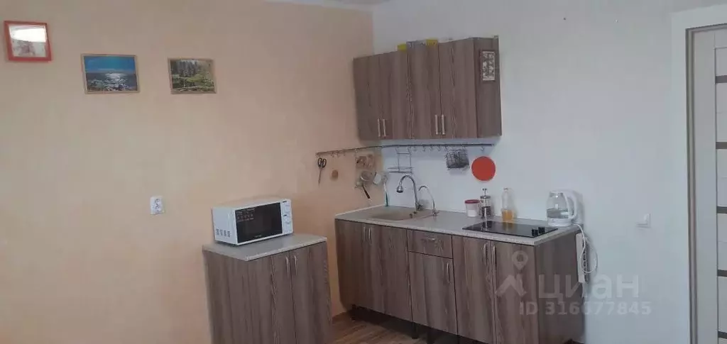 Студия Санкт-Петербург пос. Шушары, Московское ш., 262к3 (24.0 м) - Фото 0