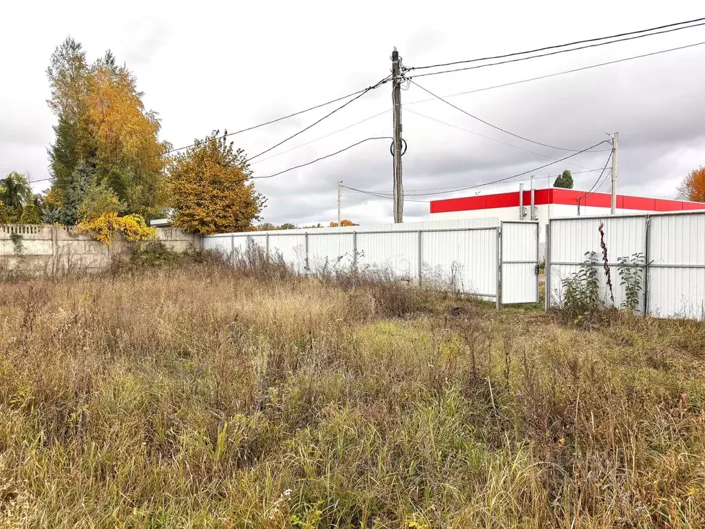 Участок в Воронежская область, Рамонский район, Айдаровское с/пос, с. ... - Фото 2