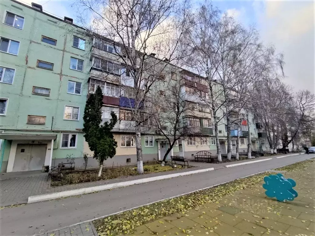 Комната Белгородская область, Алексеевка ул. Пушкина, 45 (17.5 м) - Фото 2