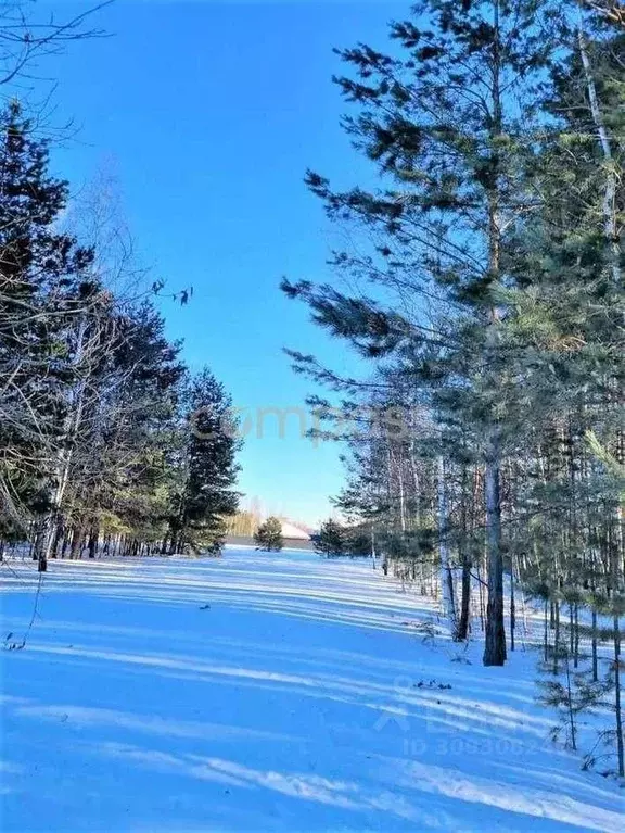 Участок в Тюменская область, Нижнетавдинский район, с. Тюнево  (9.69 ... - Фото 0