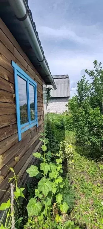 Дом в Новосибирская область, Искитимский район, Чернореченский ... - Фото 2