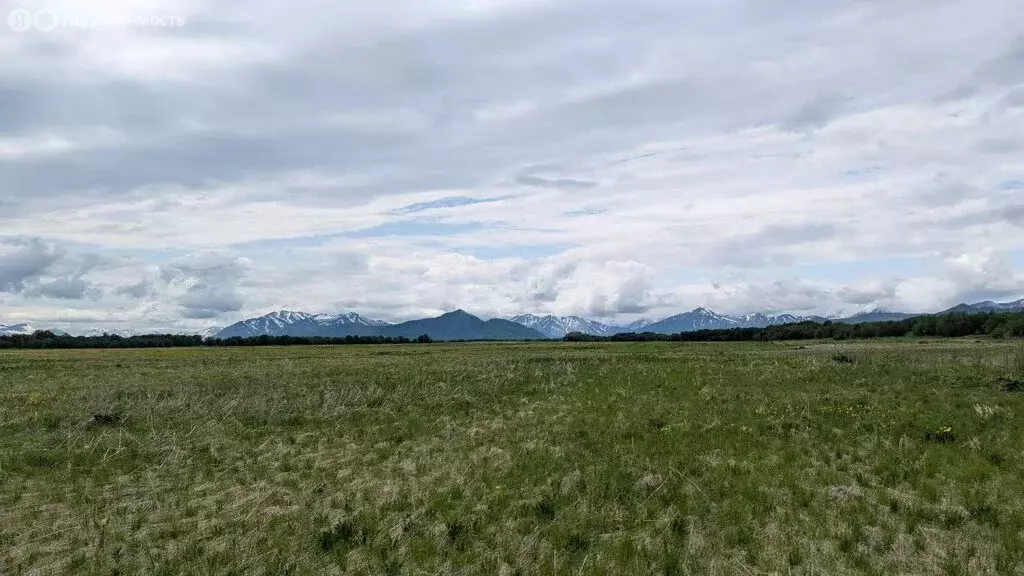 Участок в Елизовский район, село Сосновка (15 м) - Фото 1