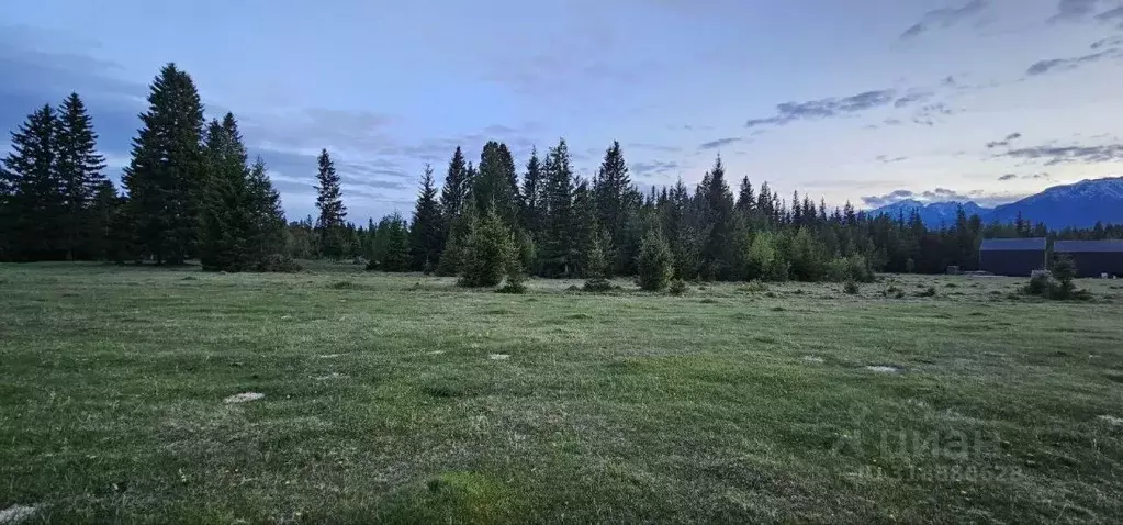 Участок в Бурятия, Тункинский район, Хурай-Хобок у.  (12.0 сот.) - Фото 1