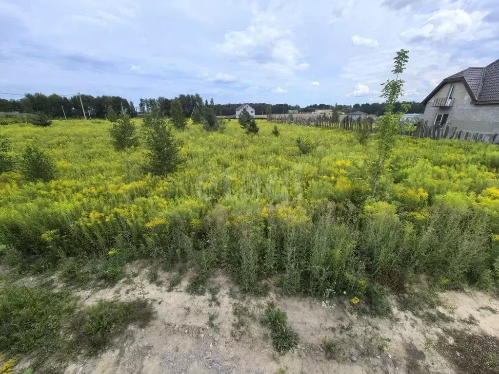 Участок в Брянская область, Брянский район, Отрадненское с/пос, с. ... - Фото 2