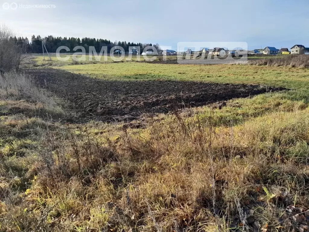 Участок в Вологодская область, Шекснинский муниципальный округ, ... - Фото 2