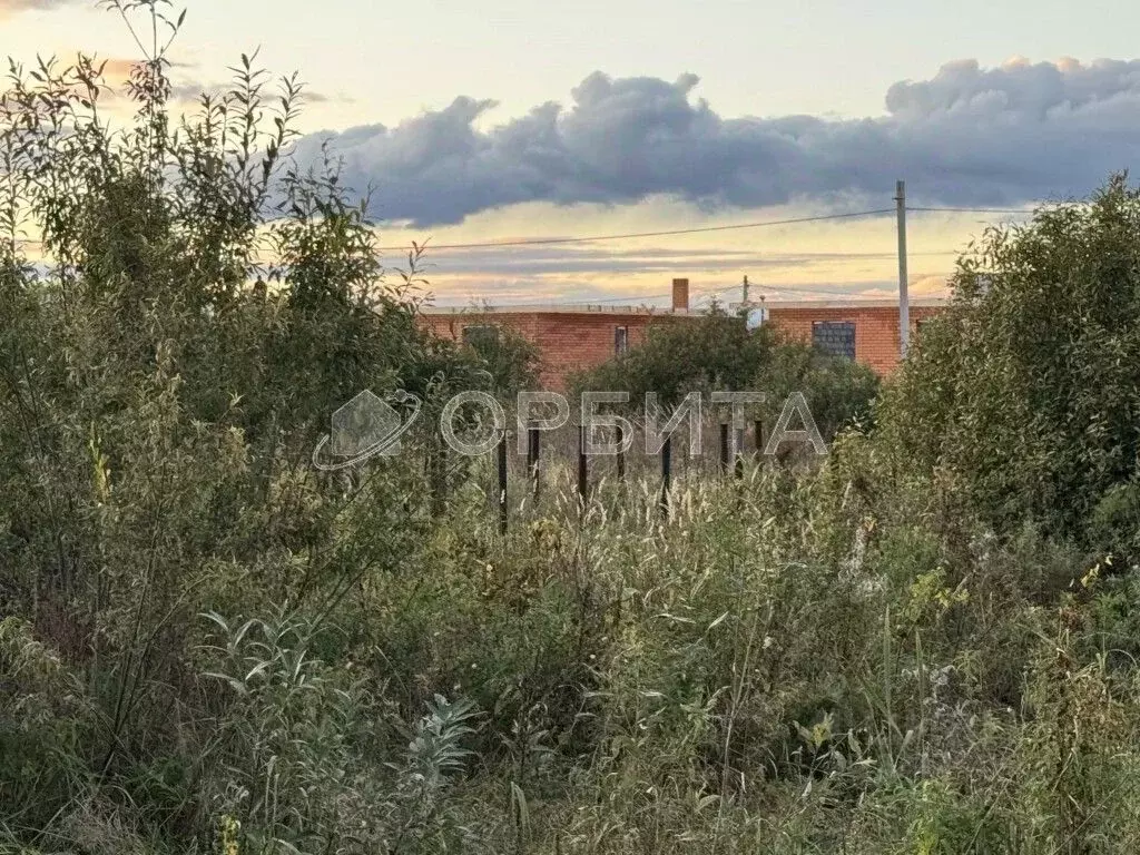 Участок в Тюменская область, Тюмень Царево садовое товарищество, ул. ... - Фото 1