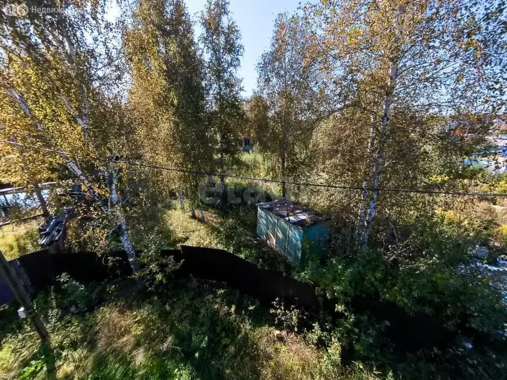 Участок в Тюмень, СНТ Надежда-3, Еловая улица (6.8 м) - Фото 1