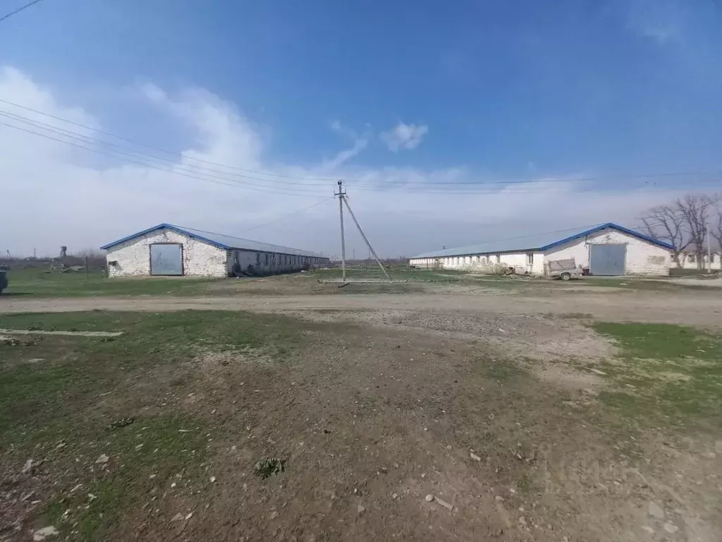 Помещение свободного назначения в Кабардино-Балкария, Прохладненский ... - Фото 1