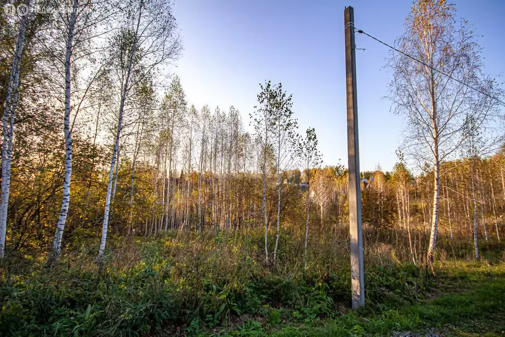 Участок в Раздольненский сельсовет, СНТ Простор (6 м) - Фото 1