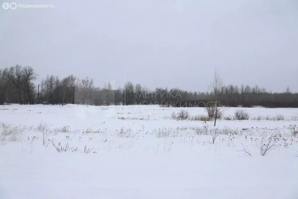 Участок в село Муллаши, улица Хабибуллы Якина (14 м) - Фото 1