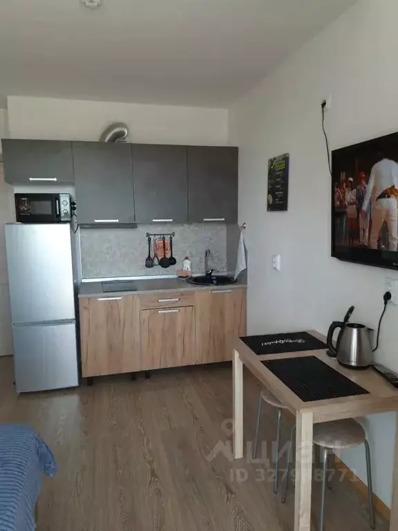 Студия Санкт-Петербург Пискаревский просп., 25к2 (29.0 м) - Фото 2