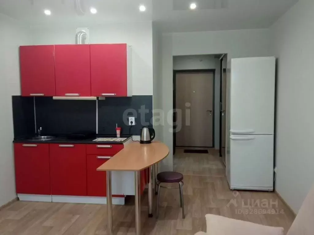 Студия Удмуртия, Ижевск Районная ул., 57к1с2 (27.0 м) - Фото 2