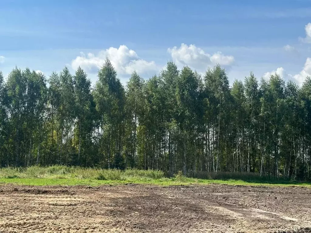 Участок в Тверская область, Калининский муниципальный округ, Тихий ... - Фото 2