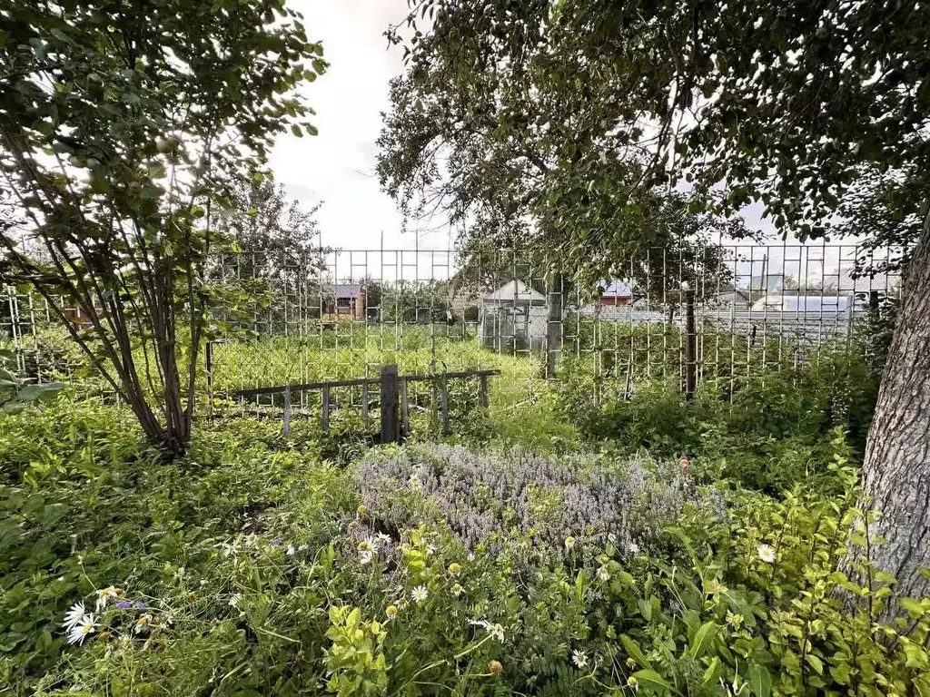 Дом в Челябинская область, Челябинск Тракторосад 1-2 сад 2 тер.,  (24 ... - Фото 1