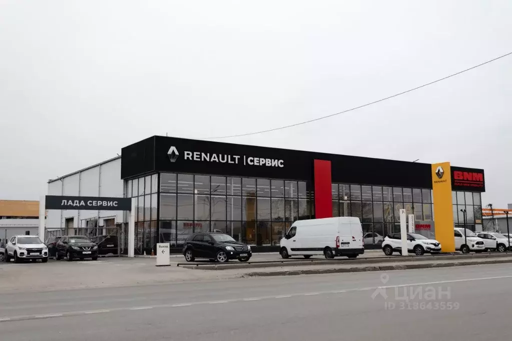 Помещение свободного назначения в Брянская область, Брянск ул. Бурова, ... - Фото 1