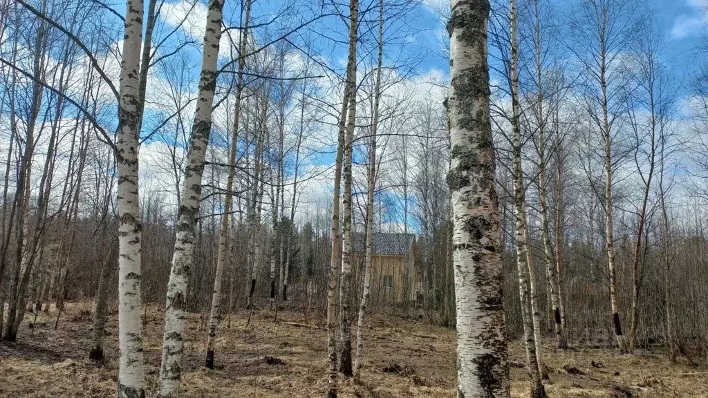 Дом в Ленинградская область, Приозерский район, Ромашкинское с/пос, ... - Фото 0