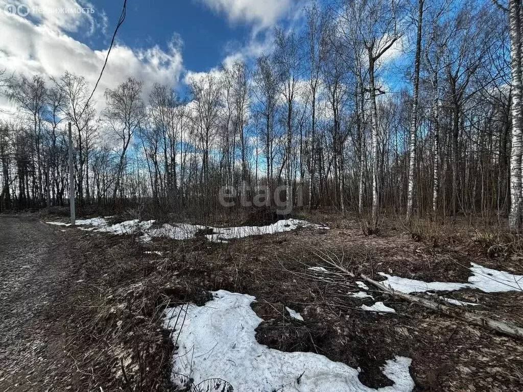 Участок в Кстово, Парковая улица (20 м) - Фото 0