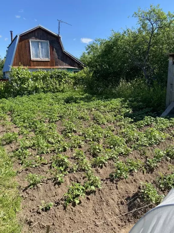 Дом в Нижегородская область, Городецкий муниципальный округ, Перекат ... - Фото 1