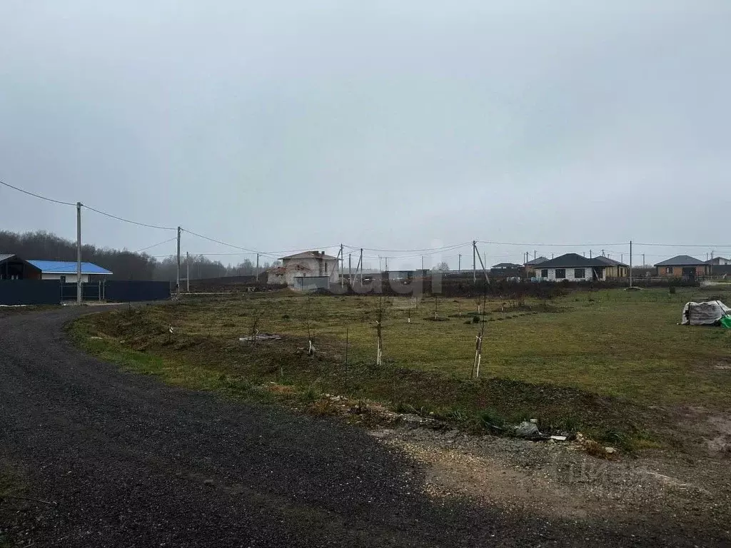 Участок в Калужская область, Совхоз Боровский с/пос, д. Уваровское  ... - Фото 2