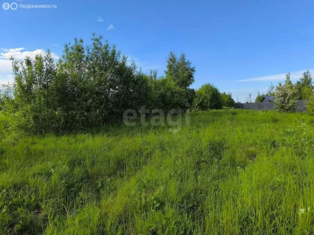 Участок в Калининградская область, Зеленоградский муниципальный округ, ... - Фото 2