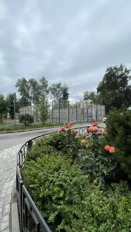 3-к кв. Московская область, Ногинск Богородский городской округ, ... - Фото 2
