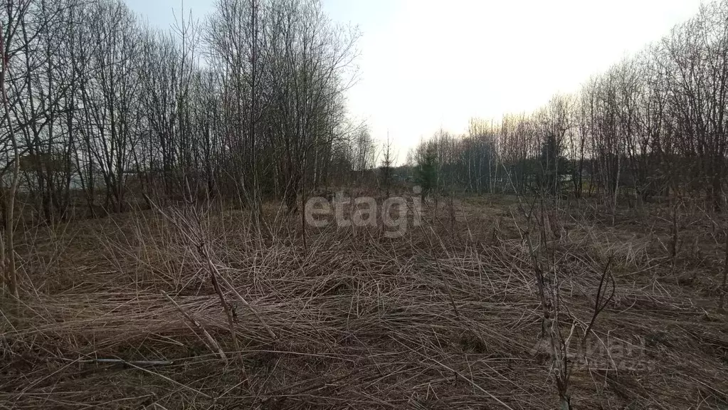 Участок в Калужская область, Калуга городской округ, д. Григоровка  ... - Фото 2