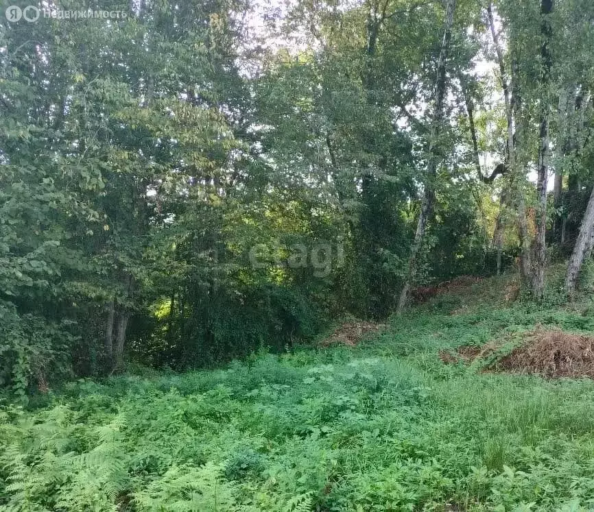 Участок в Краснодарский край, городской округ Сочи, село Васильевка, ... - Фото 0
