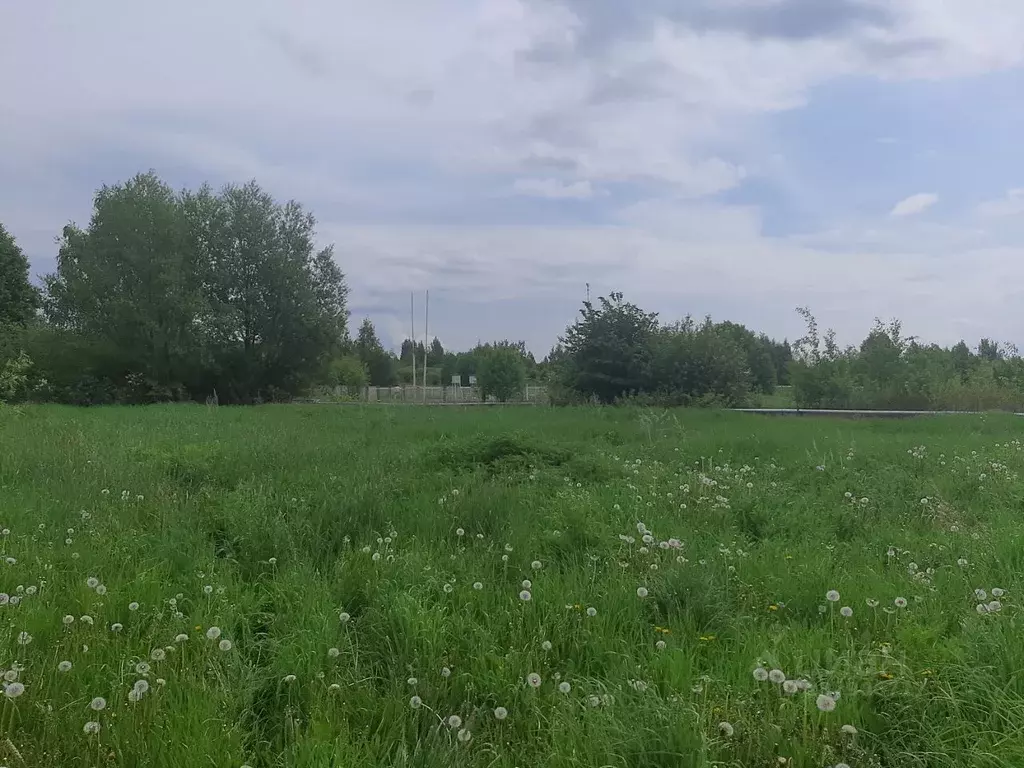 Участок в Тверская область, Удомельский муниципальный округ, д. Ряд  ... - Фото 2