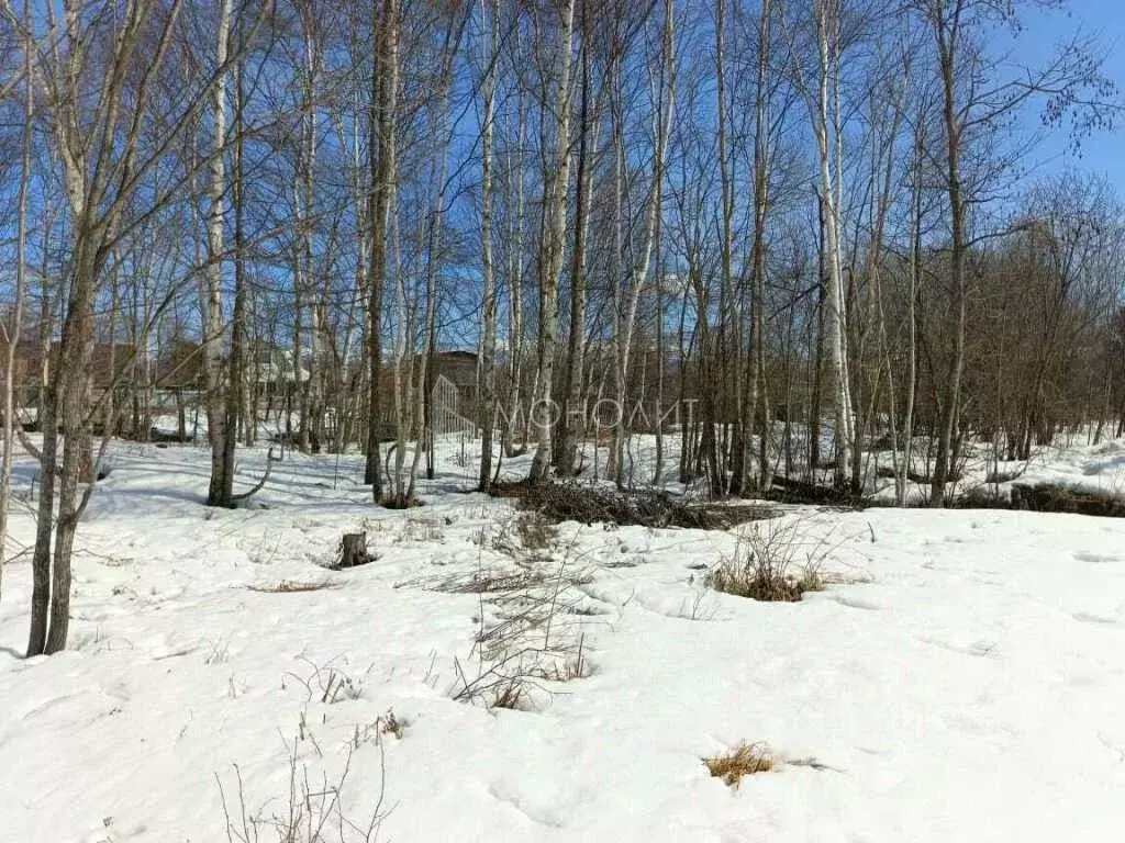 Участок в Сахалинская область, Южно-Сахалинск Труженик СНТ, ул. ... - Фото 1