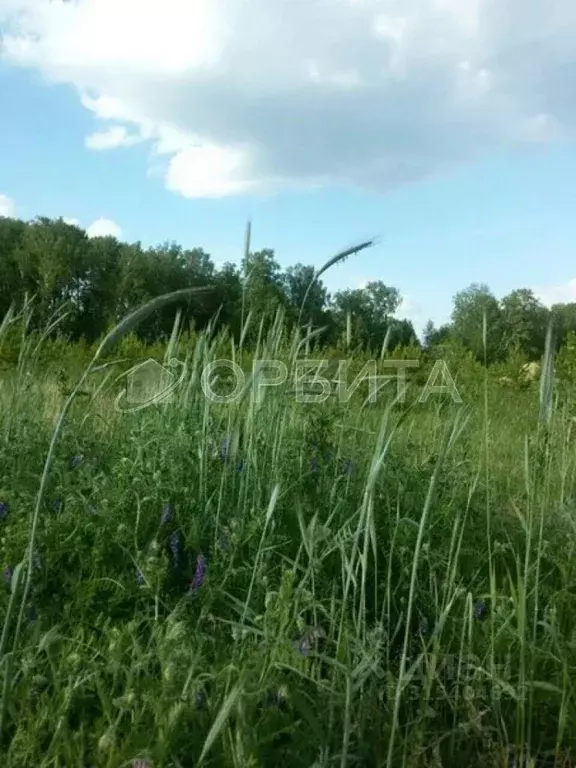 Участок в Свердловская область, Слободо-Туринский район, ... - Фото 1