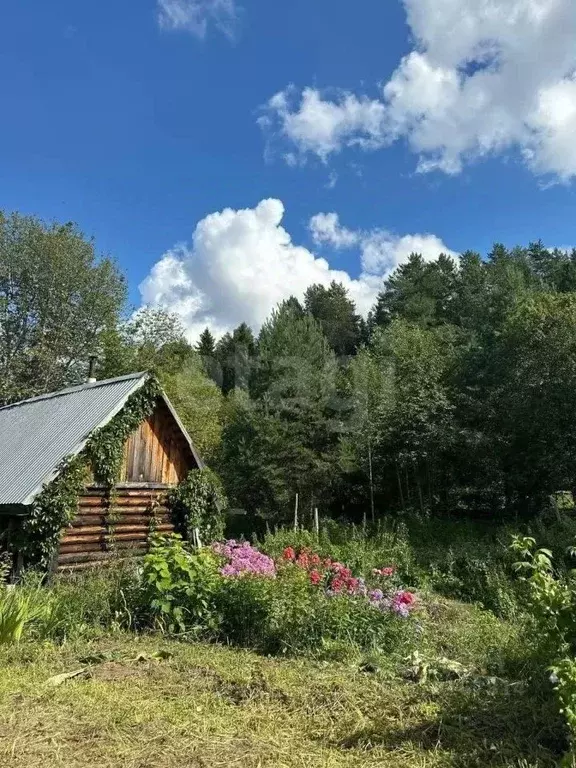 Дом в Кировская область, Кирово-Чепецкий район, Пасеговское с/пос, ... - Фото 1