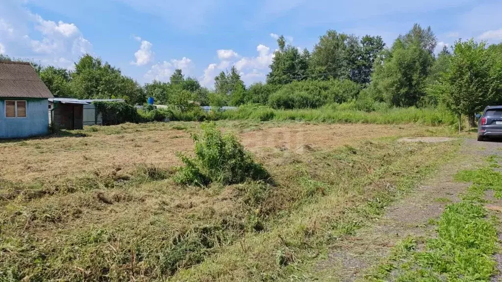Участок в Московская область, Богородский городской округ, Овощевод ... - Фото 1