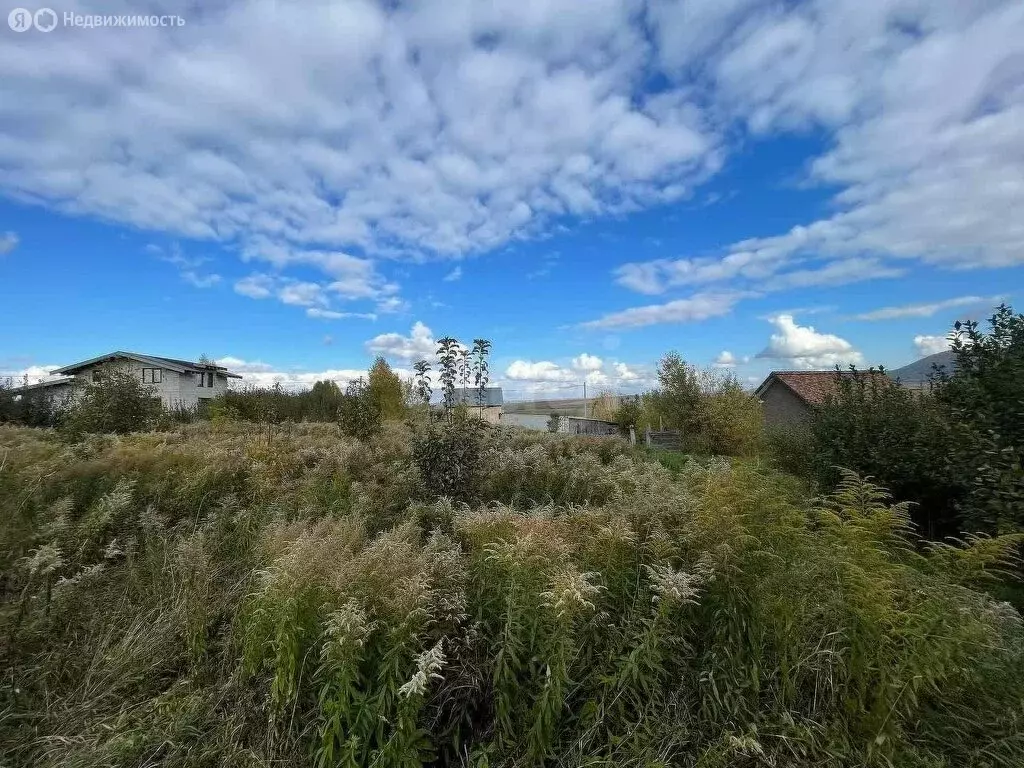 Участок в Белокуриха, 2-я Восточная улица (15 м) - Фото 2