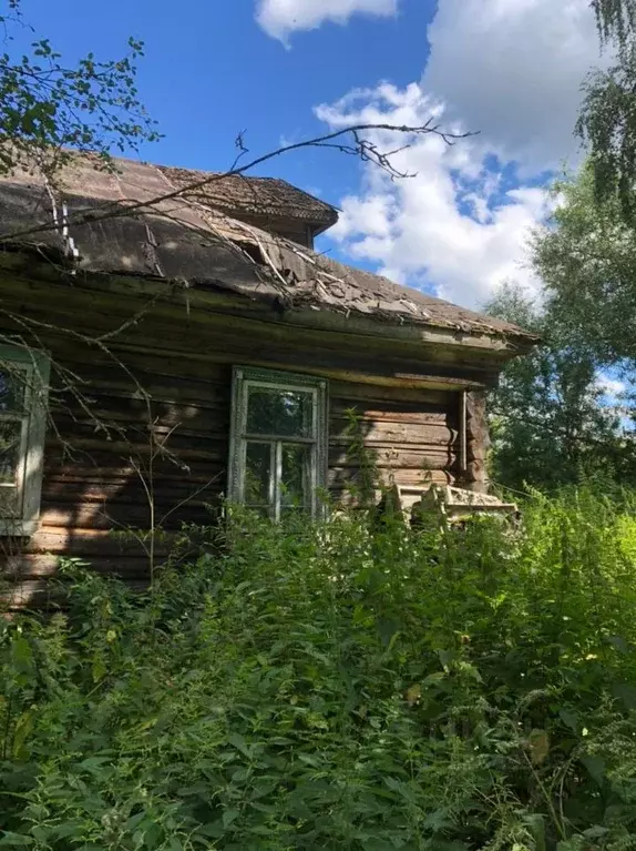 Участок в Тверская область, Старицкий муниципальный округ, д. ... - Фото 0