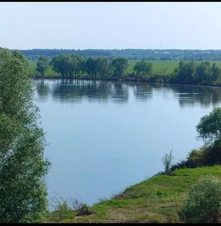 Дом в Рязанская область, Спасский район, Киструсское с/пос, с. Новый ... - Фото 0