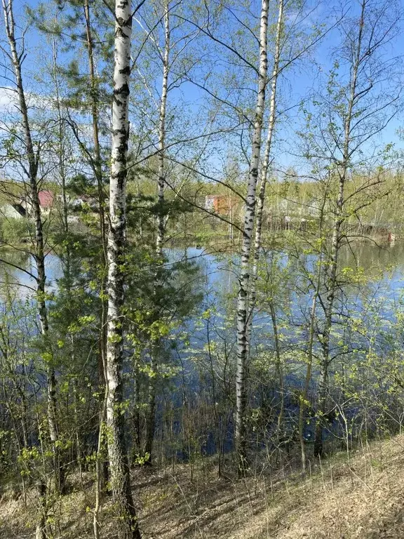 Участок в Московская область, Воскресенск городской округ, д. ... - Фото 1